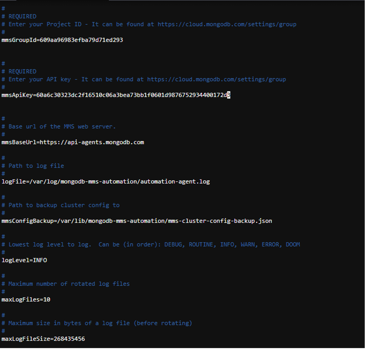 Automation Agent Configuration